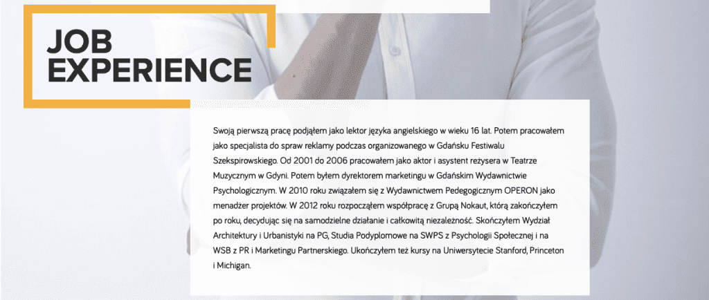 Piotr Bucki – Job Experience