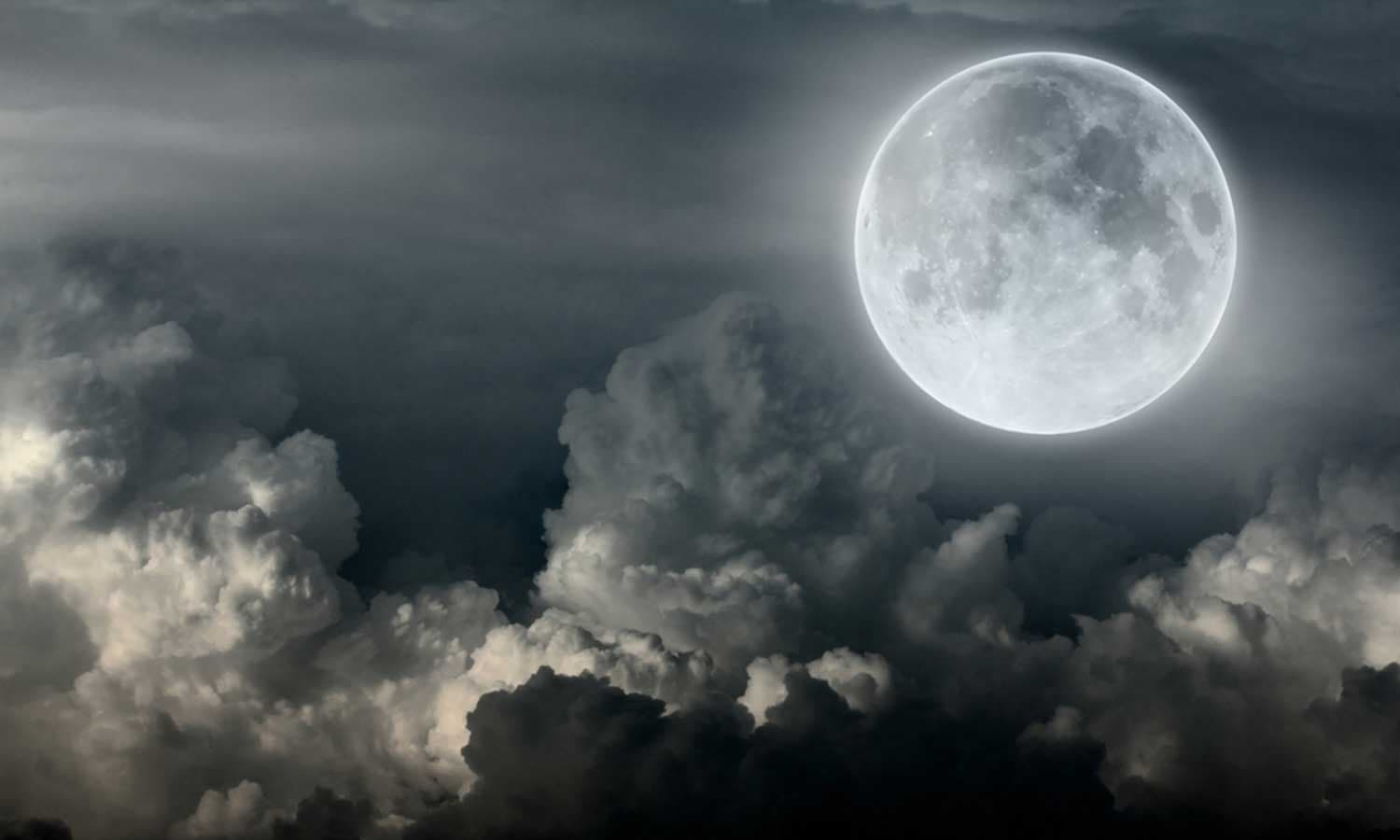 shutterstock_112374014