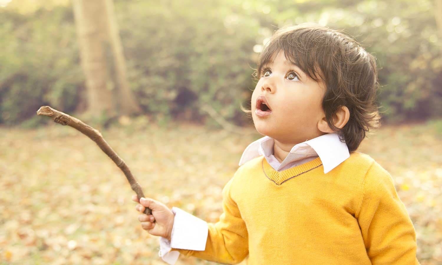 shutterstock_88175782