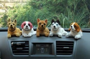 piesek kiwająca głowa