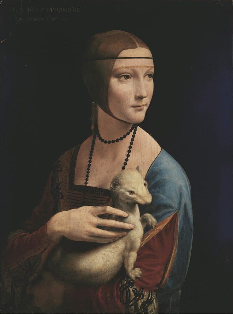 Dama z gronostajem, Leonardo da Vinci